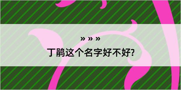 丁鹃这个名字好不好?