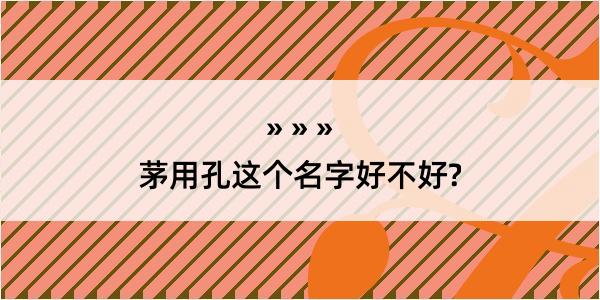 茅用孔这个名字好不好?