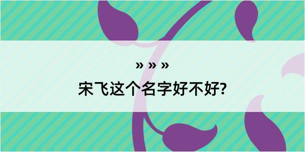 宋飞这个名字好不好?