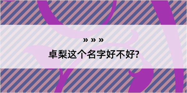 卓梨这个名字好不好?