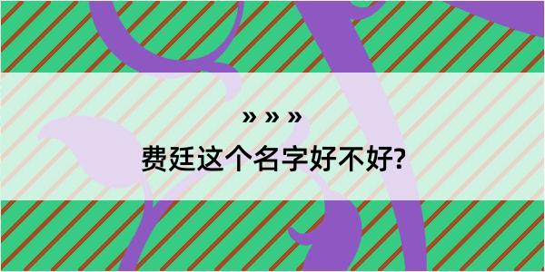 费廷这个名字好不好?