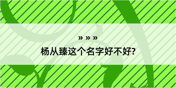 杨从臻这个名字好不好?