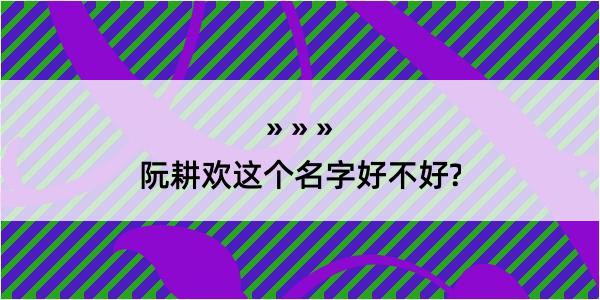 阮耕欢这个名字好不好?