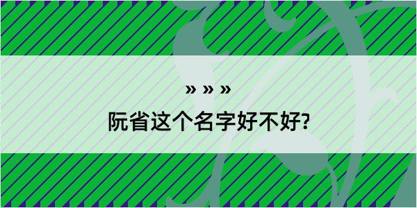 阮省这个名字好不好?