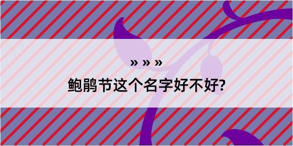 鲍鹃节这个名字好不好?