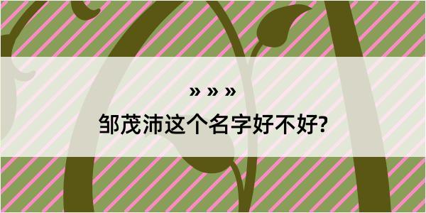 邹茂沛这个名字好不好?