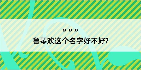 鲁琴欢这个名字好不好?