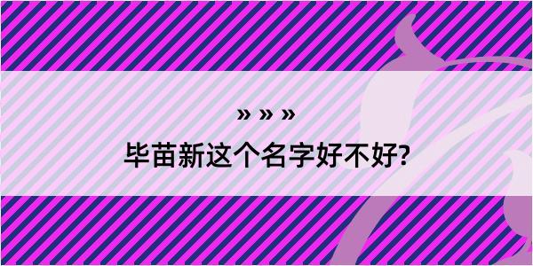 毕苗新这个名字好不好?