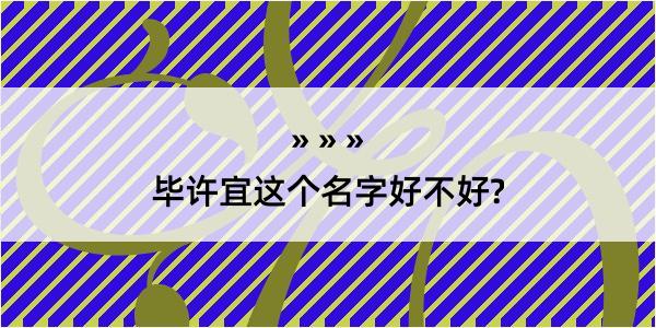 毕许宜这个名字好不好?