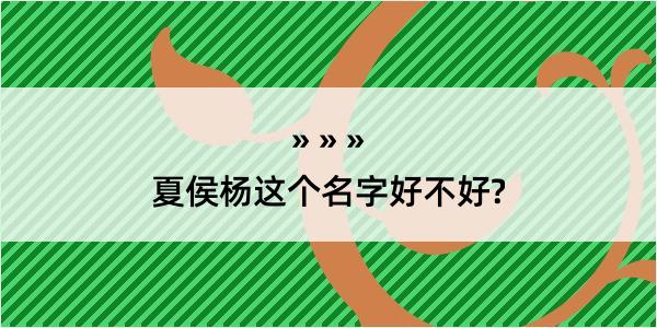 夏侯杨这个名字好不好?