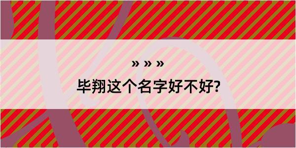 毕翔这个名字好不好?