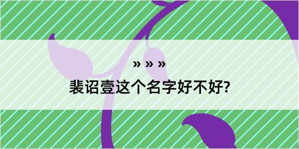 裴诏壹这个名字好不好?