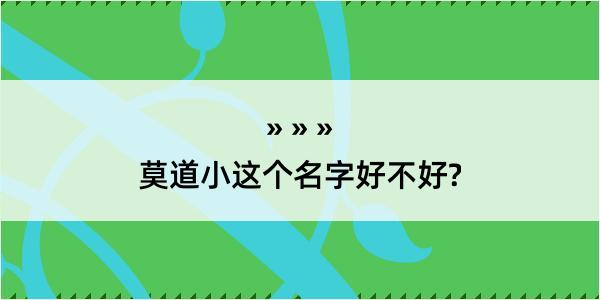 莫道小这个名字好不好?