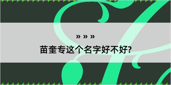 苗奎专这个名字好不好?