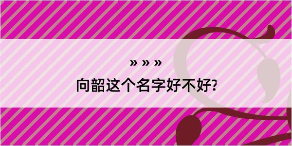 向韶这个名字好不好?