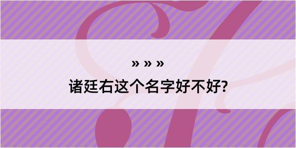 诸廷右这个名字好不好?