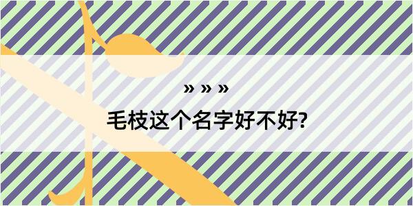 毛枝这个名字好不好?