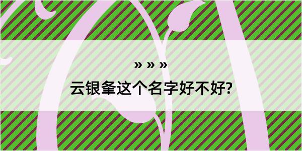 云银夆这个名字好不好?