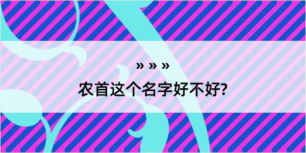 农首这个名字好不好?