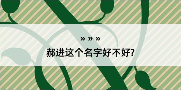 郝进这个名字好不好?