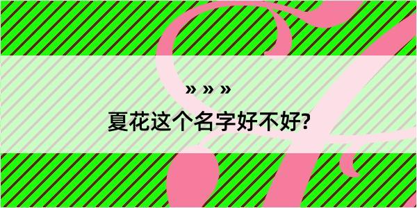 夏花这个名字好不好?