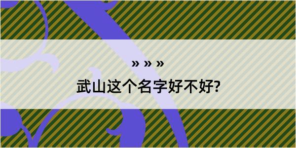 武山这个名字好不好?