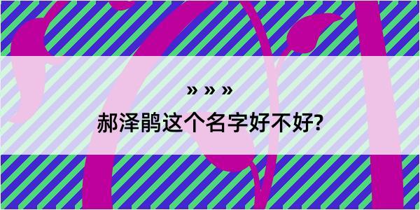 郝泽鹃这个名字好不好?