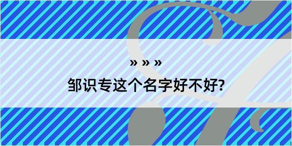 邹识专这个名字好不好?