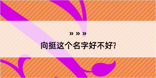 向挺这个名字好不好?