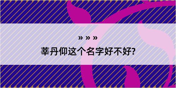 莘丹仰这个名字好不好?