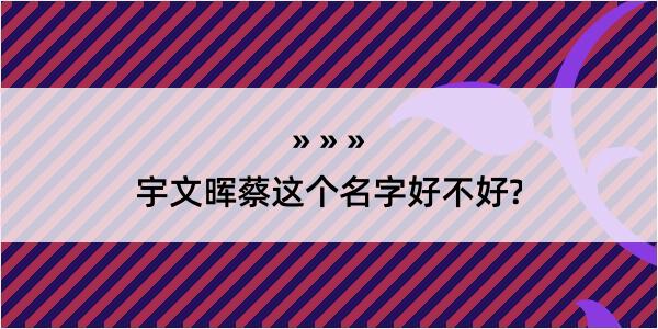 宇文晖蔡这个名字好不好?