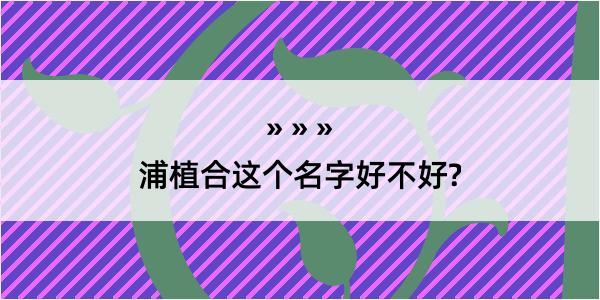 浦植合这个名字好不好?