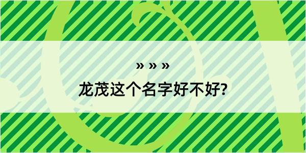 龙茂这个名字好不好?