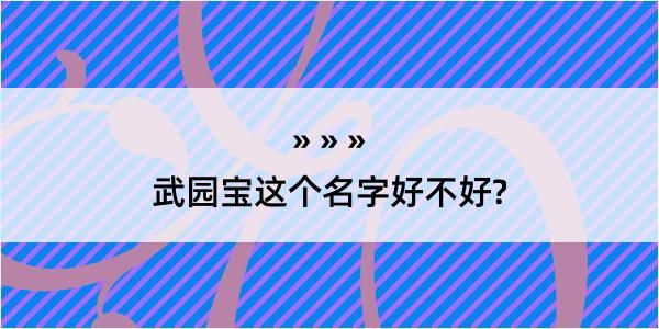 武园宝这个名字好不好?