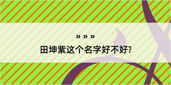 田坤紫这个名字好不好?