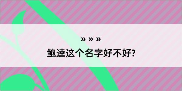 鲍逵这个名字好不好?