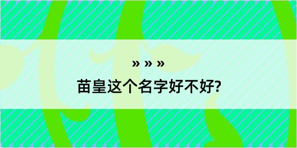 苗皇这个名字好不好?