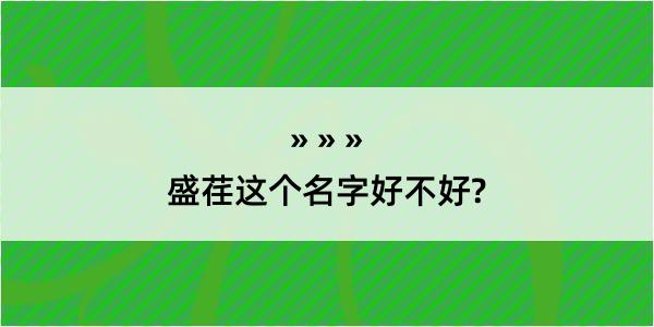 盛荏这个名字好不好?