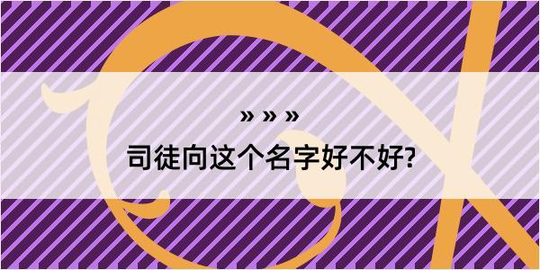 司徒向这个名字好不好?