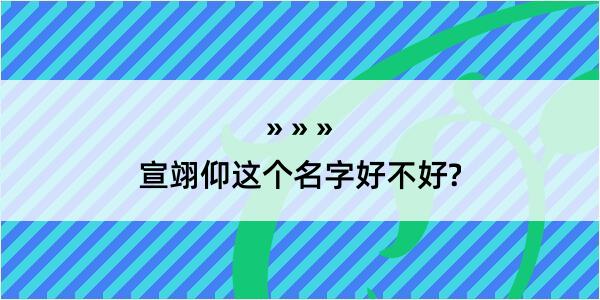 宣翊仰这个名字好不好?