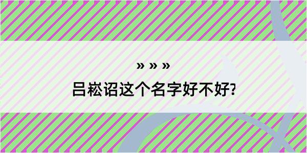 吕崧诏这个名字好不好?