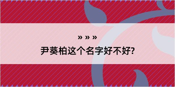 尹葵柏这个名字好不好?