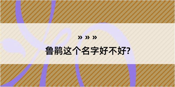 鲁鹃这个名字好不好?