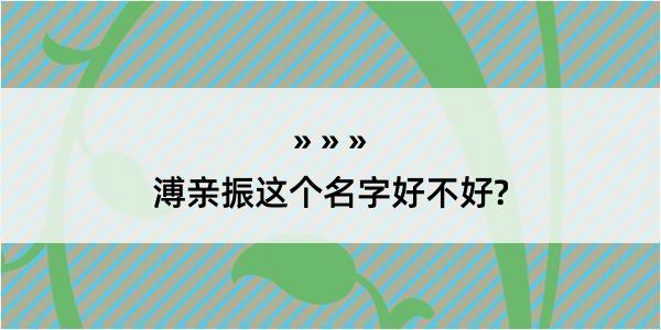 溥亲振这个名字好不好?