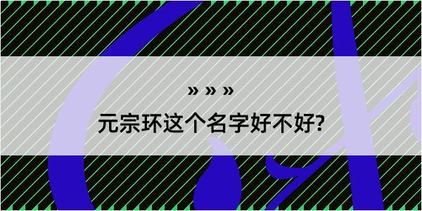 元宗环这个名字好不好?