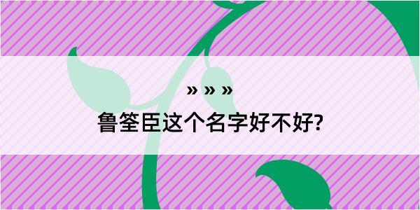 鲁筌臣这个名字好不好?