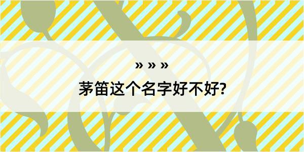 茅笛这个名字好不好?