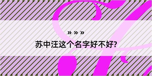 苏中汪这个名字好不好?