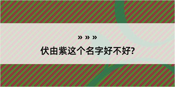 伏由紫这个名字好不好?