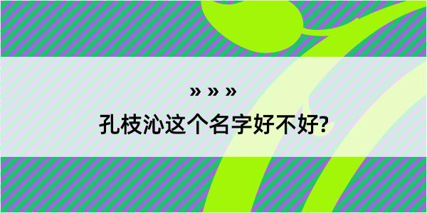 孔枝沁这个名字好不好?